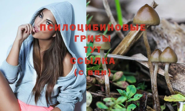мяу мяу мука Вяземский