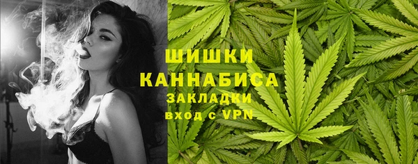 прущие грибы Вязники