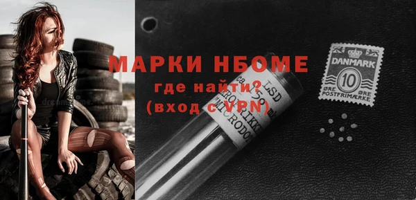 прущие грибы Вязники
